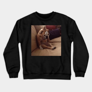 Funny Sad dog Stickers Crewneck Sweatshirt